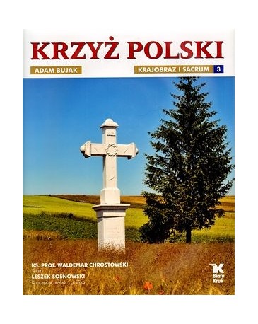 Krzyż polski. Krajobraz i sacrum. Tom 3