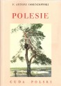 Polesie. Cuda Polski